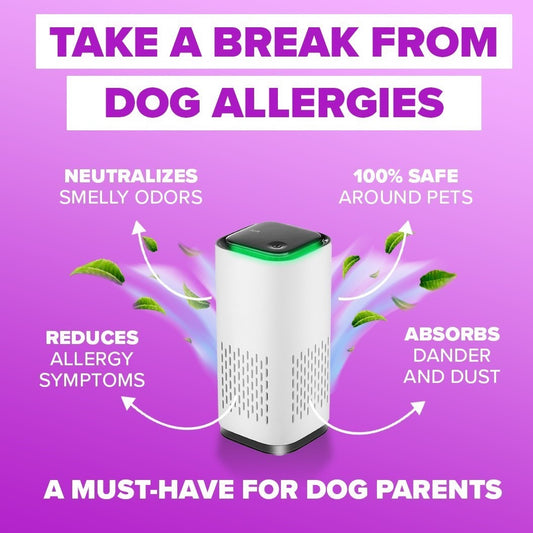 PET Air  PURIFIER  "Eliminate the Dog air from your home on auto-pilot"