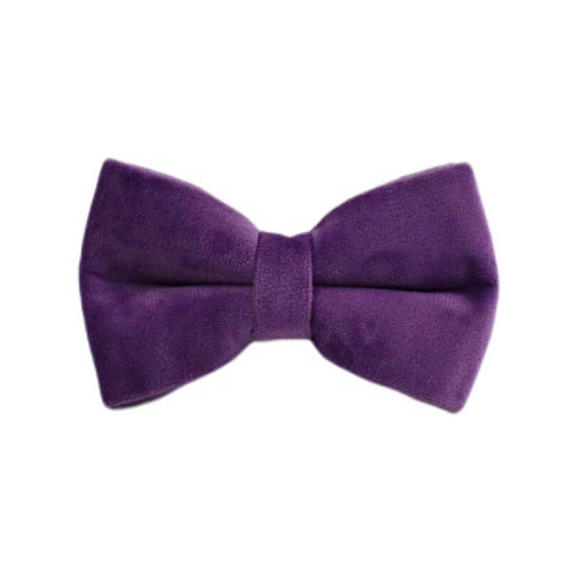 Purple Velvet Dog Collar, Leash, Harness Set  Custom Engraved