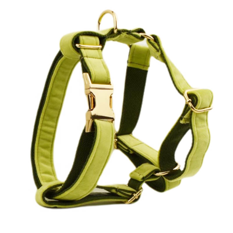 Avocado  Velvet Dog Collar And Leash Set For Dogs Custom Engraved Nameplate