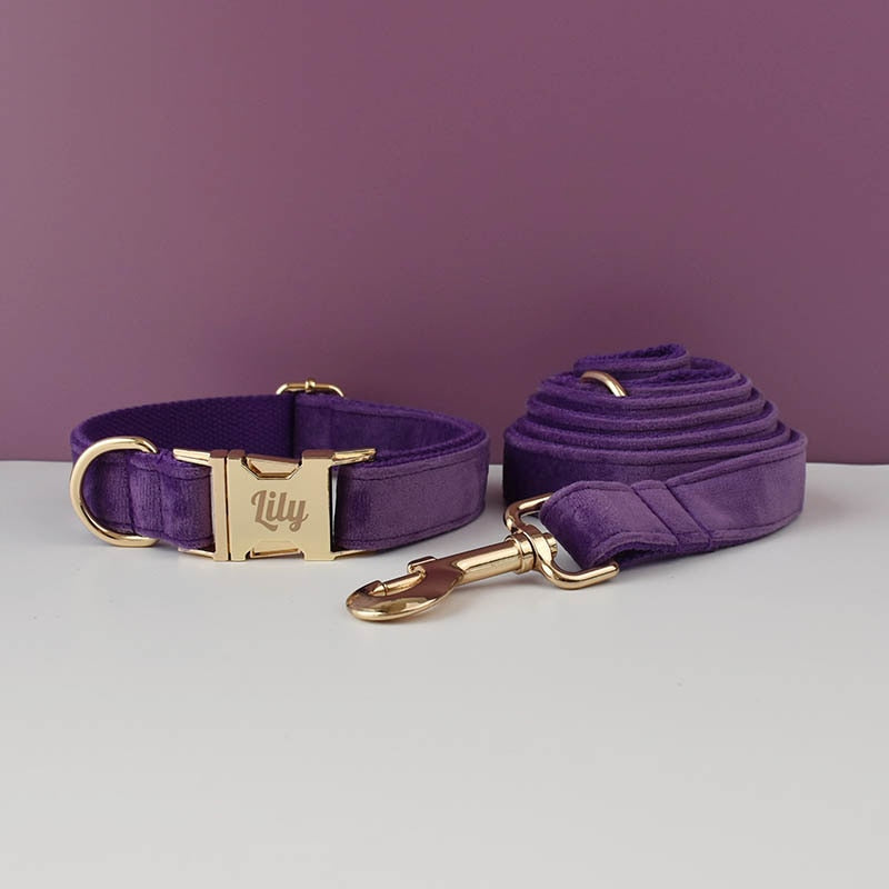 Purple Velvet Dog Collar, Leash, Harness Set  Custom Engraved