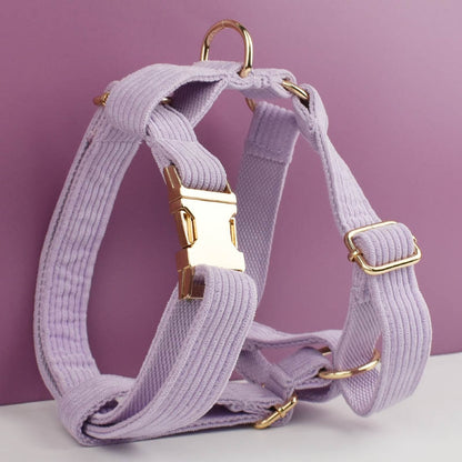 Pink Purple Corduroy Collar Leash Harness Set Custom Engraved