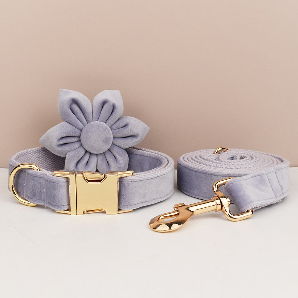 Personalized Blue Velvet Collar ,Leash ,Harness ,Bow, Waste Bag ,Flower Set