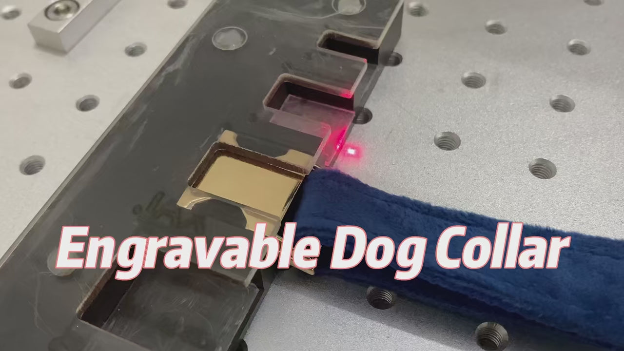 Load video: Engravable Dog Collar